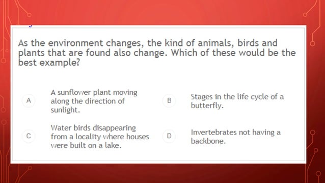 Asset Practise Questions For Grade 6 | PPT