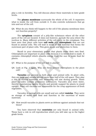 play a role in heredity. You will discuss about these materials in later grade
levels.

      The plasma membrane surrounds the whole of the cell. It separates
what is inside the cell from outside it. It also controls substances that go
into and out of the cell.

Q6. What do you think will happen to the cell if the plasma membrane does
    not function properly?

      The cytoplasm consist of a jelly-like substance where all the other
parts of the cell are located. It does not however, include the area where the
nucleus is. Many different activities of the cell occur in the cytoplasm. You
have seen that plant cells have cell walls and chloroplasts that are not
found in animal cells. The cell wall is made of stiff material that forms the
outermost part of plant cells. This gives shape and protection to them.

      Recall in your elementary grades that plants make their own food.
Chloroplasts are important in plant cells because it is where food is made. It
contains chlorophyll which absorbs energy from the sun to make food for
plants.

Q7. What is the purpose of the cell wall in plants?

Q8. Look at Fig. 1 again. Why are there several chloroplasts in the plant
    cell?

      Vacuoles are present in both plant and animal cells. In plant cells,
they are large and usually occupy more than half of the cell space. They play
a role in storing nutrients and increasing cell size during growth. Some
plant vacuoles contain poisonous substances. Vacuoles also store water,
thereby maintaining rigidity to cells and provide support for plants to stand
upright. Plant cell vacuoles are responsible for the crisp appearance of fresh
vegetables.

     Vacuoles in animal cells are small and are called vesicles. They serve
as storage of water and food and function in the excretion of waste
materials.

Q9. How would vacuoles in plants serve as defense against animals that eat
    them?

      You have observed that centrioles are only found in animal cells.
These have a role in cell reproduction which you will take up in the higher
grade levels.




Grade 7 Science: Living Things and Their Environment                        4
Plant and Animal Cells
 