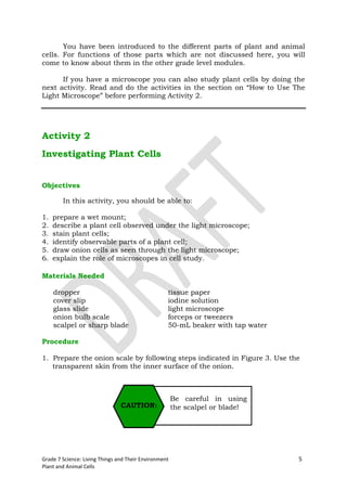 You have been introduced to the different parts of plant and animal
cells. For functions of those parts which are not discussed here, you will
come to know about them in the other grade level modules.

      If you have a microscope you can also study plant cells by doing the
next activity. Read and do the activities in the section on “How to Use The
Light Microscope” before performing Activity 2.




Activity 2
Investigating Plant Cells


Objectives

        In this activity, you should be able to:

1.   prepare a wet mount;
2.   describe a plant cell observed under the light microscope;
3.   stain plant cells;
4.   identify observable parts of a plant cell;
5.   draw onion cells as seen through the light microscope;
6.   explain the role of microscopes in cell study.

Materials Needed

     dropper                                       tissue paper
     cover slip                                    iodine solution
     glass slide                                   light microscope
     onion bulb scale                              forceps or tweezers
     scalpel or sharp blade                        50-mL beaker with tap water

Procedure

1. Prepare the onion scale by following steps indicated in Figure 3. Use the
   transparent skin from the inner surface of the onion.



                                                       Be careful in using
                                CAUTION:               the scalpel or blade!




Grade 7 Science: Living Things and Their Environment                             5
Plant and Animal Cells
 