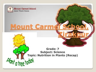 Mount Carmel School,
Zirakpur
Grade: 7
Subject: Science
Topic: Nutrition in Plants (Recap)
 