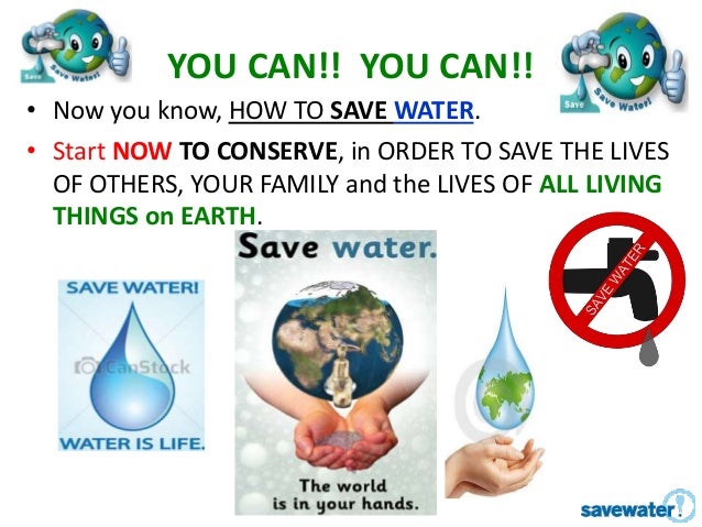 ways to conserve water essay
