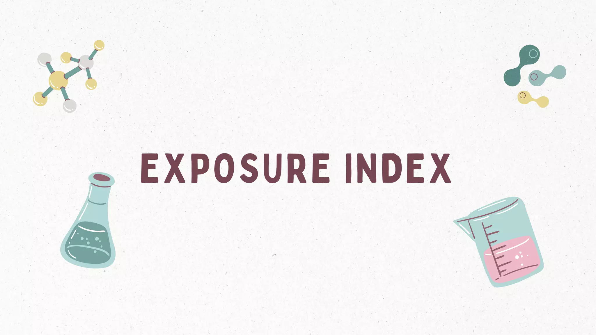 EXPOSURE INDEX
 