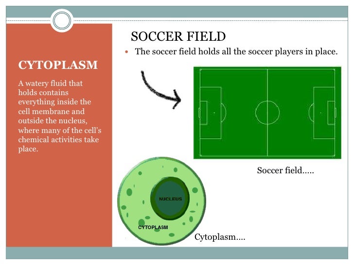 gr8 hannah cellanalogy cell analogy project ideas