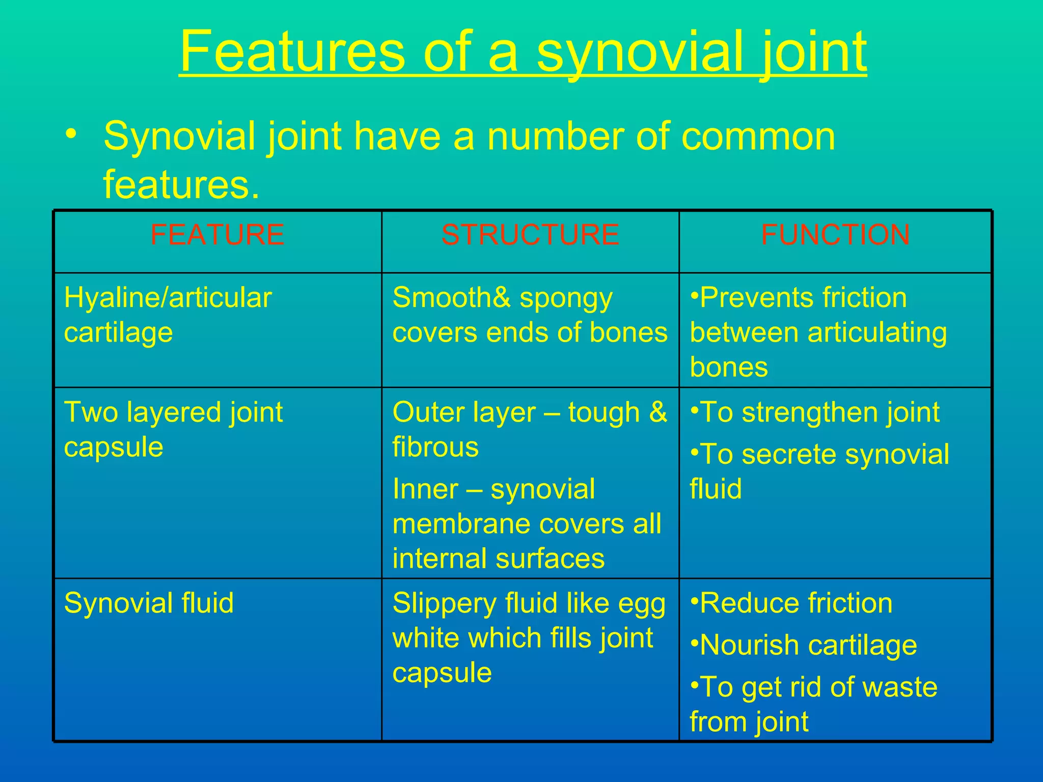 Features of a synovial joint Synovial joint have a number of common features. Reduce friction Nourish cartilage To get rid of waste from joint Slippery fluid like egg white which fills joint capsule Synovial fluid To strengthen joint To secrete synovial fluid Outer layer – tough & fibrous Inner – synovial membrane covers all internal surfaces Two layered joint capsule Prevents friction between articulating bones Smooth& spongy covers ends of bones Hyaline/articular cartilage FUNCTION STRUCTURE FEATURE 