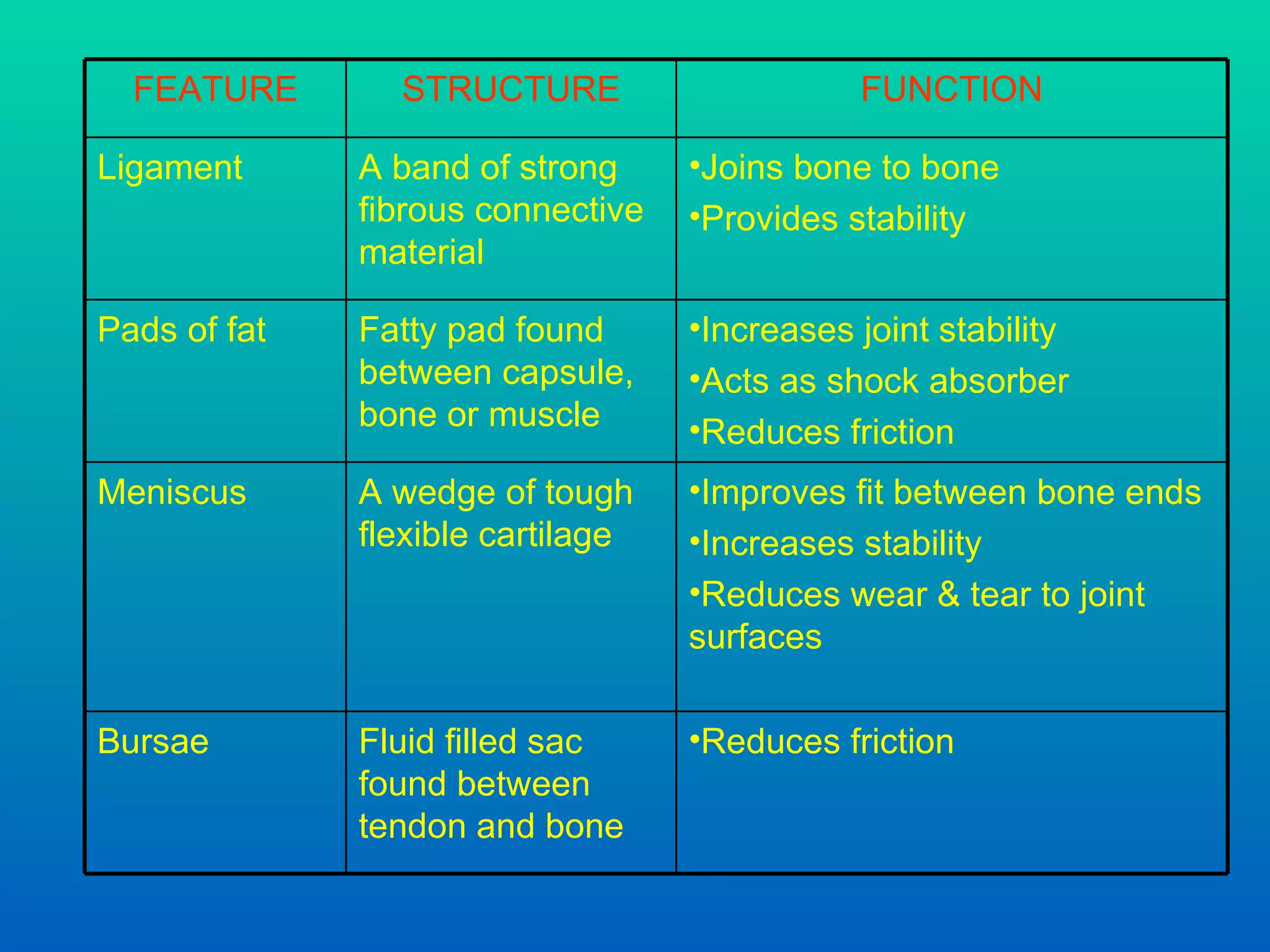 FUNCTION STRUCTURE FEATURE Reduces friction Fluid filled sac found between tendon and bone Bursae Improves fit between bone ends Increases stability Reduces wear & tear to joint surfaces A wedge of tough flexible cartilage  Meniscus Increases joint stability Acts as shock absorber Reduces friction Fatty pad found between capsule, bone or muscle Pads of fat Joins bone to bone Provides stability A band of strong fibrous connective material  Ligament 
