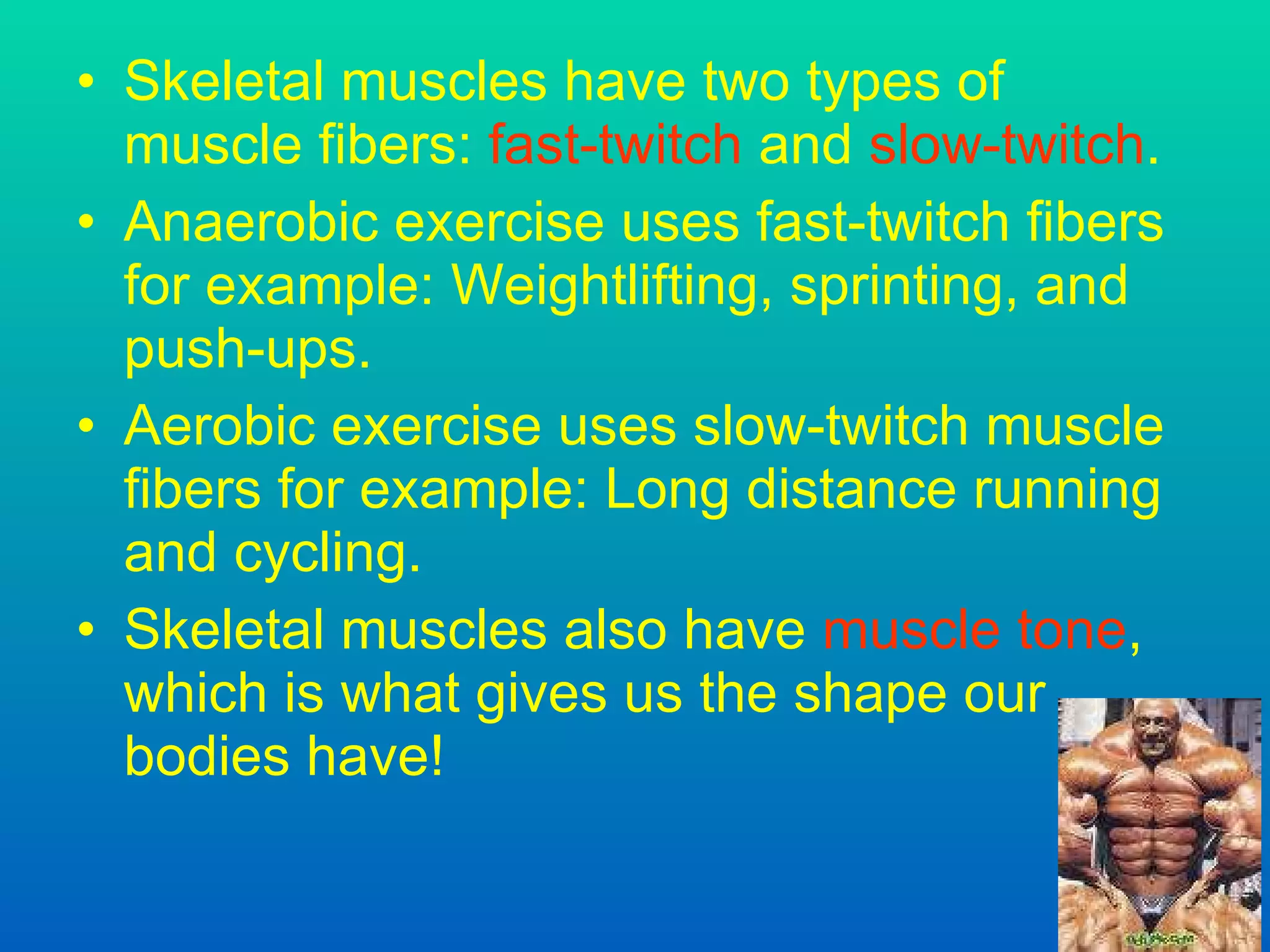 Skeletal muscles have two types of muscle fibers:  fast-twitch  and  slow-twitch .  Anaerobic exercise uses fast-twitch fibers  for example:  Weightlifting, sprinting, and push-ups . Aerobic exercise uses slow-twitch muscle fibers  for example:  Long distance running and cycling . Skeletal muscles also have  muscle tone , which is what gives us the shape our bodies have! 