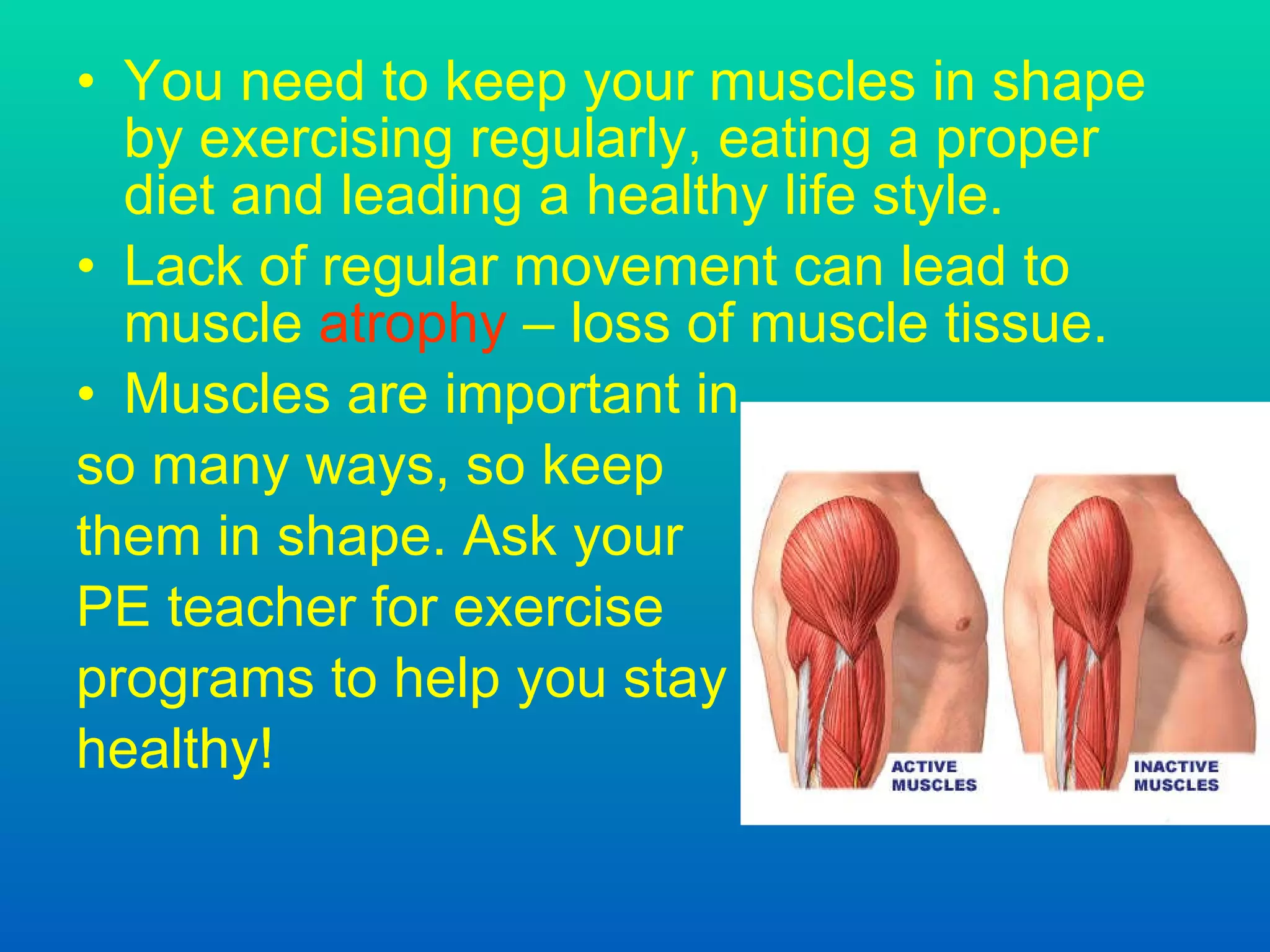 You need to keep your muscles in shape by exercising regularly, eating a proper diet and leading a healthy life style. Lack of regular movement can lead to muscle  atrophy  – loss of muscle tissue.  Muscles are important in so many ways, so keep them in shape. Ask your PE teacher for exercise programs to help you stay healthy!  