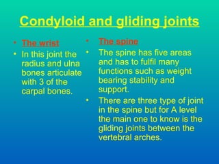 Condyloid and gliding joints The wrist In this joint the radius and ulna bones articulate with 3 of the carpal bones. The spine The spine has five areas and has to fulfil many functions such as weight bearing stability and support. There are three type of joint in the spine but for A level the main one to know is the gliding joints between the vertebral arches. 