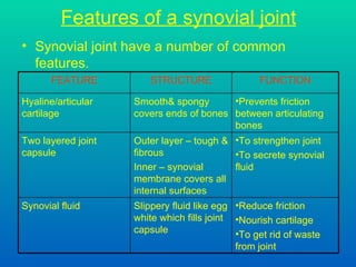 Features of a synovial joint Synovial joint have a number of common features. Reduce friction Nourish cartilage To get rid of waste from joint Slippery fluid like egg white which fills joint capsule Synovial fluid To strengthen joint To secrete synovial fluid Outer layer – tough & fibrous Inner – synovial membrane covers all internal surfaces Two layered joint capsule Prevents friction between articulating bones Smooth& spongy covers ends of bones Hyaline/articular cartilage FUNCTION STRUCTURE FEATURE 