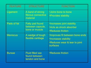FUNCTION STRUCTURE FEATURE Reduces friction Fluid filled sac found between tendon and bone Bursae Improves fit between bone ends Increases stability Reduces wear & tear to joint surfaces A wedge of tough flexible cartilage  Meniscus Increases joint stability Acts as shock absorber Reduces friction Fatty pad found between capsule, bone or muscle Pads of fat Joins bone to bone Provides stability A band of strong fibrous connective material  Ligament 