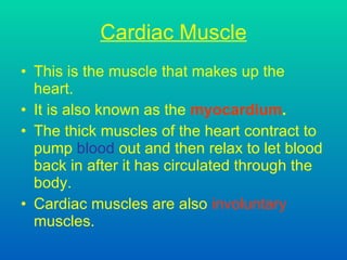Cardiac Muscle This is t he muscle that makes up the heart . It is also known as the  myocardium . The thick muscles of the heart contract to pump  blood  out and then relax to let blood back in after it has circulated through the body. Cardiac muscles are also  involuntary  muscles.   