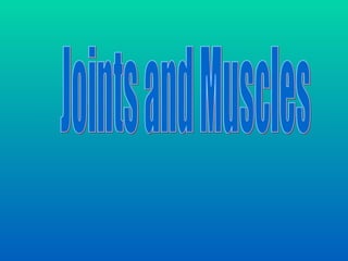 Joints and Muscles 