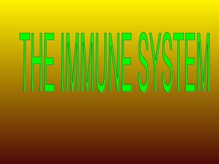 THE IMMUNE SYSTEM 