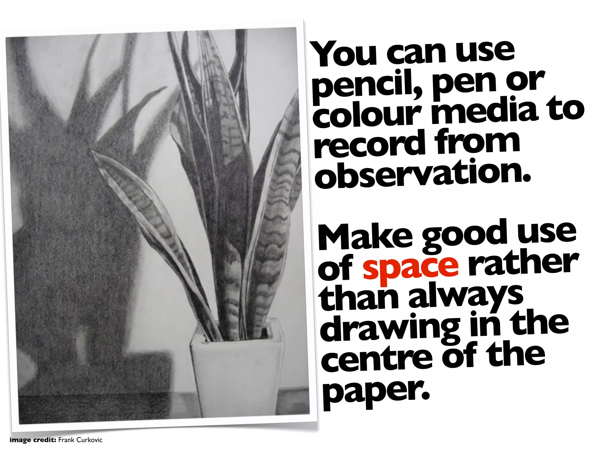 You can use
pencil, pen or
colour media to
record from
observation.
Make good use
of space rather
than always
drawing in the
centre of the
paper.
image credit: Frank Curkovic
 