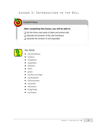 L e S S o n 1 : i n T r o d u c T i o n T o T H e c e L L 
Lesson Focus 
After completing this lesson, you will be able to 
q list the three main parts of plant and animal cells 
q describe the function of the cell membrane 
q describe the function of cell organelles 
Key Words 
n cell membrane 
n nucleus 
n cytoplasm 
n organelles 
n cellulose 
n DNA 
n genes 
n nuclear envelope 
n nucleoplasm 
n chromosomes 
n nucleolus 
n ribosomes 
n Golgi body 
n lysosomes 
M o d u l e 1 : r e p r o d u c t i o n 7 
 