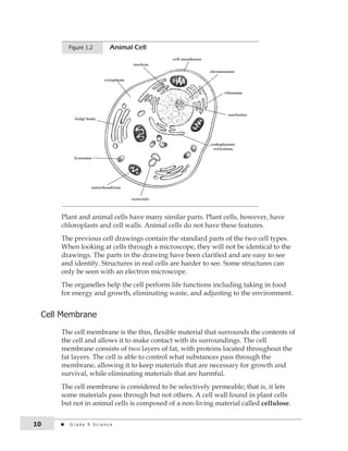 Figure 1.2 Animal Cell 
cell membrane 
cytoplasm 
chromosome 
ribosome 
nucleolus 
Golgi body 
lysosome 
mitochondrion 
nucleus 
centriole 
endoplasmic 
reticulum 
Plant and animal cells have many similar parts. Plant cells, however, have 
chloroplasts and cell walls. Animal cells do not have these features. 
The previous cell drawings contain the standard parts of the two cell types. 
When looking at cells through a microscope, they will not be identical to the 
drawings. The parts in the drawing have been clarified and are easy to see 
and identify. Structures in real cells are harder to see. Some structures can 
only be seen with an electron microscope. 
The organelles help the cell perform life functions including taking in food 
for energy and growth, eliminating waste, and adjusting to the environment. 
cell Membrane 
The cell membrane is the thin, flexible material that surrounds the contents of 
the cell and allows it to make contact with its surroundings. The cell 
membrane consists of two layers of fat, with proteins located throughout the 
fat layers. The cell is able to control what substances pass through the 
membrane, allowing it to keep materials that are necessary for growth and 
survival, while eliminating materials that are harmful. 
The cell membrane is considered to be selectively permeable; that is, it lets 
some materials pass through but not others. A cell wall found in plant cells 
but not in animal cells is composed of a non-living material called cellulose. 
10 G r a d e 9 S c i e n c e 
 