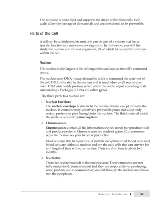 The cellulose is quite rigid and supports the shape of the plant cells. Cell 
walls allow the passage of all materials and are considered to be permeable. 
Parts of the cell 
A cell can be an independent unit or it can be part of a system that has a 
specific function in a more complex organism. In this lesson, you will first 
study the nucleus and various organelles, all of which have specific functions 
within the cell. 
nucleus 
The nucleus is the largest of the cell organelles and acts as the cell’s command 
centre. 
The nucleus uses DNA (deoxyribonucleic acid) to command the activities of 
the cell. DNA is located in the nucleus and is used when a cell reproduces 
itself. DNA also builds proteins which allow the cell to adjust according to its 
surroundings. Packages of DNA are called genes. 
The three parts to a nucleus are: 
1. Nuclear Envelope 
The nuclear envelope is similar to the cell membrane except it covers the 
nucleus. It contains many selectively permeable pores that allow only 
certain proteins to pass through into the nucleus. The fluid material inside 
the nucleus is called the nucleoplasm. 
2. Chromosomes 
Chromosomes contain all the information the cell needs to reproduce itself 
and produce proteins. Chromosomes are made of genes. Chromosomes 
replicate themselves prior to cell reproduction. 
Most cells are able to reproduce. A notable exception is red blood cells. Red 
blood cells are without a nucleus and are the only cells that can survive for 
any length of time without a nucleus. Their survival time is about two 
months. 
3. Nucleolus 
There are several nucleoli in the nucleoplasm. These structures are not 
fully understood. Some scientists feel they are responsible for producing 
some proteins and ribosomes that pass out through the nuclear membrane 
into the cytoplasm. 
M o d u l e 1 : r e p r o d u c t i o n 11 
 