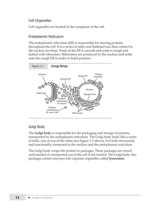cell organelles 
Cell organelles are located in the cytoplasm of the cell. 
endoplasmic reticulum 
The endoplasmic reticulum (ER) is responsible for moving proteins 
throughout the cell. It is a series of tubes and flattened sacs that connect to 
the nuclear envelope. Some of the ER is smooth and some is rough and 
dotted with ribosomes. Ribosomes are produced by the nucleus and settle 
onto the rough ER in order to build proteins. 
Figure 1.3 Golgi Body 
Vesicles 
Golgi body 
Smooth ER 
Proteins 
synthesized 
for export 
Rough ER 
Proteins 
synthesized 
for use in cell Ribosomes 
Nuclear 
Envelope 
Nucleus 
Nuclear Pore 
Golgi Body 
The Golgi body is responsible for the packaging and storage of proteins 
transported by the endoplasmic reticulum. The Golgi body looks like a series 
of folds, one on top of the other (see Figure 1.3 above). It is both structurally 
and functionally connected to the nucleus and the endoplasmic reticulum. 
The Golgi body wraps the protein in packages. These packages are stored 
until needed or transported out of the cell if not needed. The Golgi body also 
packages certain enzymes into separate organelles called lysosomes. 
12 G r a d e 9 S c i e n c e 
 