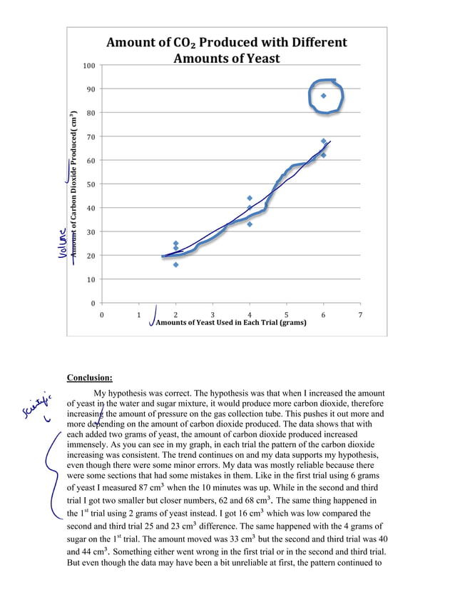 Yeast Lab Report PDF