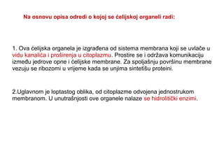 Na osnovu opisa odredi o kojoj se ćelijskoj organeli radi: 
1. Ova ćelijska organela je izgrađena od sistema membrana koji se uvlače u 
vidu kanalića i proširenja u citoplazmu. Prostire se i održava komunikaciju 
između jedrove opne i ćelijske membrane. Za spoljašnju površinu membrane 
vezuju se ribozomi u vrijeme kada se unjima sintetišu proteini. 
2.Uglavnom je loptastog oblika, od citoplazme odvojena jednostrukom 
membranom. U unutrašnjosti ove organele nalaze se hidrolitički enzimi. 
 