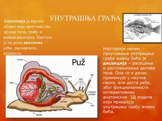 Gradja Riba GRAĐA ŽIVIH BIĆA spoljašnja i unutrašnja.pptx