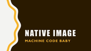 NATIVE IMAGE
MACHINE CODE BABY
 