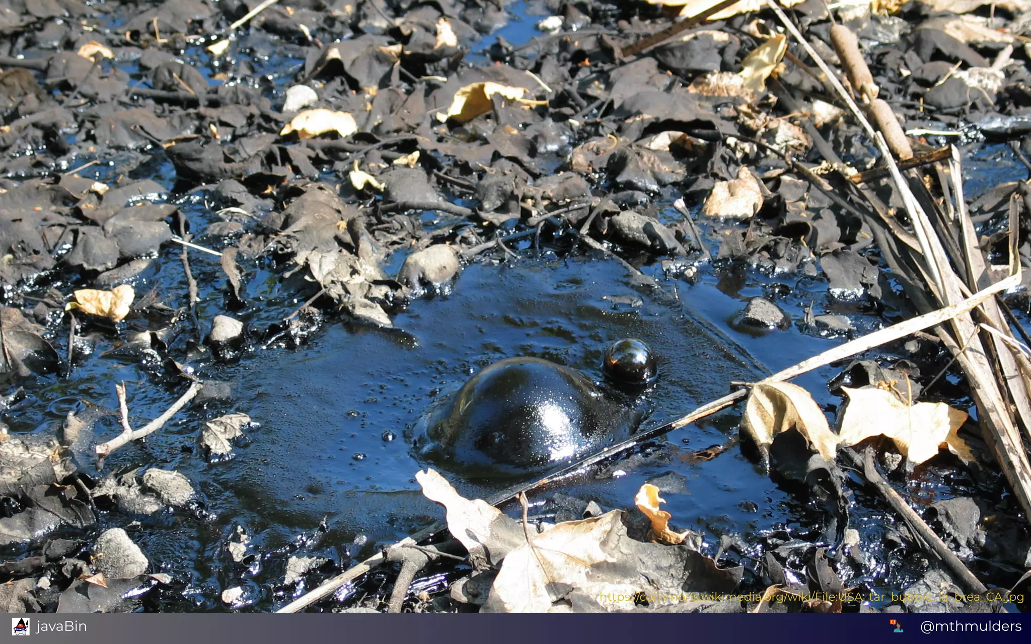 https://commons.wikimedia.org/wiki/File:USA_tar_bubble_la_brea_CA.jpg
@mthmulders  javaBin
 