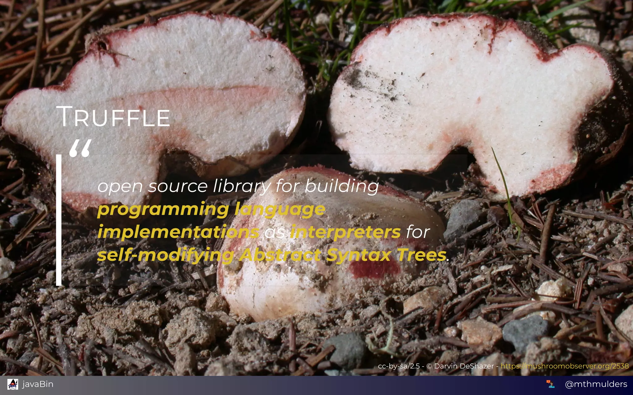 T
cc-by-sa/2.5 - © Darvin DeShazer - https://mushroomobserver.org/2538
“open source library for building
programming language
implementations as interpreters for
self-modifying Abstract Syntax Trees.
@mthmulders  javaBin
 