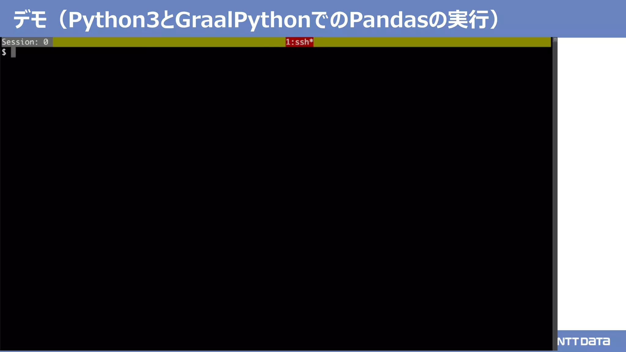 © 2020 NTT DATA Corporation 42
デモ（Python3とGraalPythonでのPandasの実行）
 