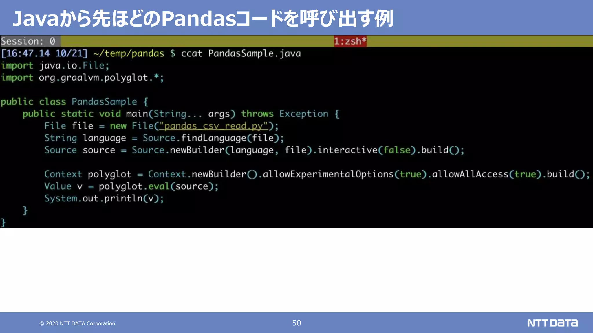 © 2020 NTT DATA Corporation 50
Javaから先ほどのPandasコードを呼び出す例
 