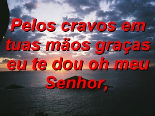 Pelos cravos em tuas mãos graças eu te dou oh meu Senhor,   