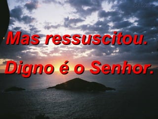 Mas ressuscitou.  Digno é o Senhor. 