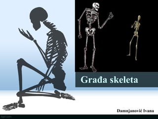 Građa skeleta
Damnjanović Ivana
 