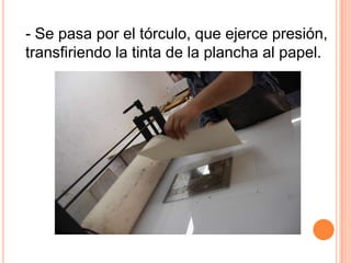 Tema:“Año internacional de los bosques”