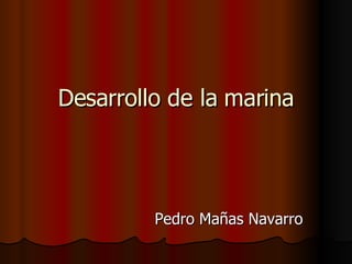 Desarrollo de la marina Pedro Mañas Navarro 