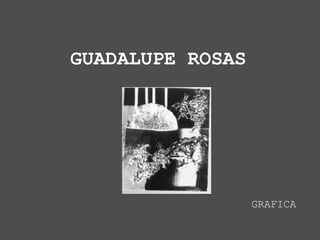 GUADALUPE ROSAS




                  GRAFICA
 