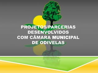 PROJETOS/PARCERIAS
DESENVOLVIDOS
COM CÂMARA MUNICIPAL
DE ODIVELAS
 