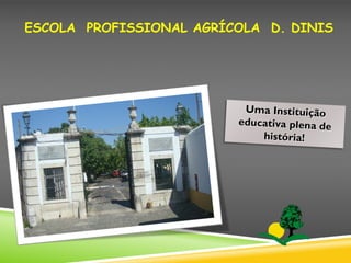 ESCOLA PROFISSIONAL AGRÍCOLA D. DINIS
 