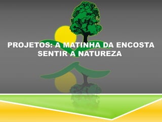 PROJETOS: A MATINHA DA ENCOSTA
SENTIR A NATUREZA
 