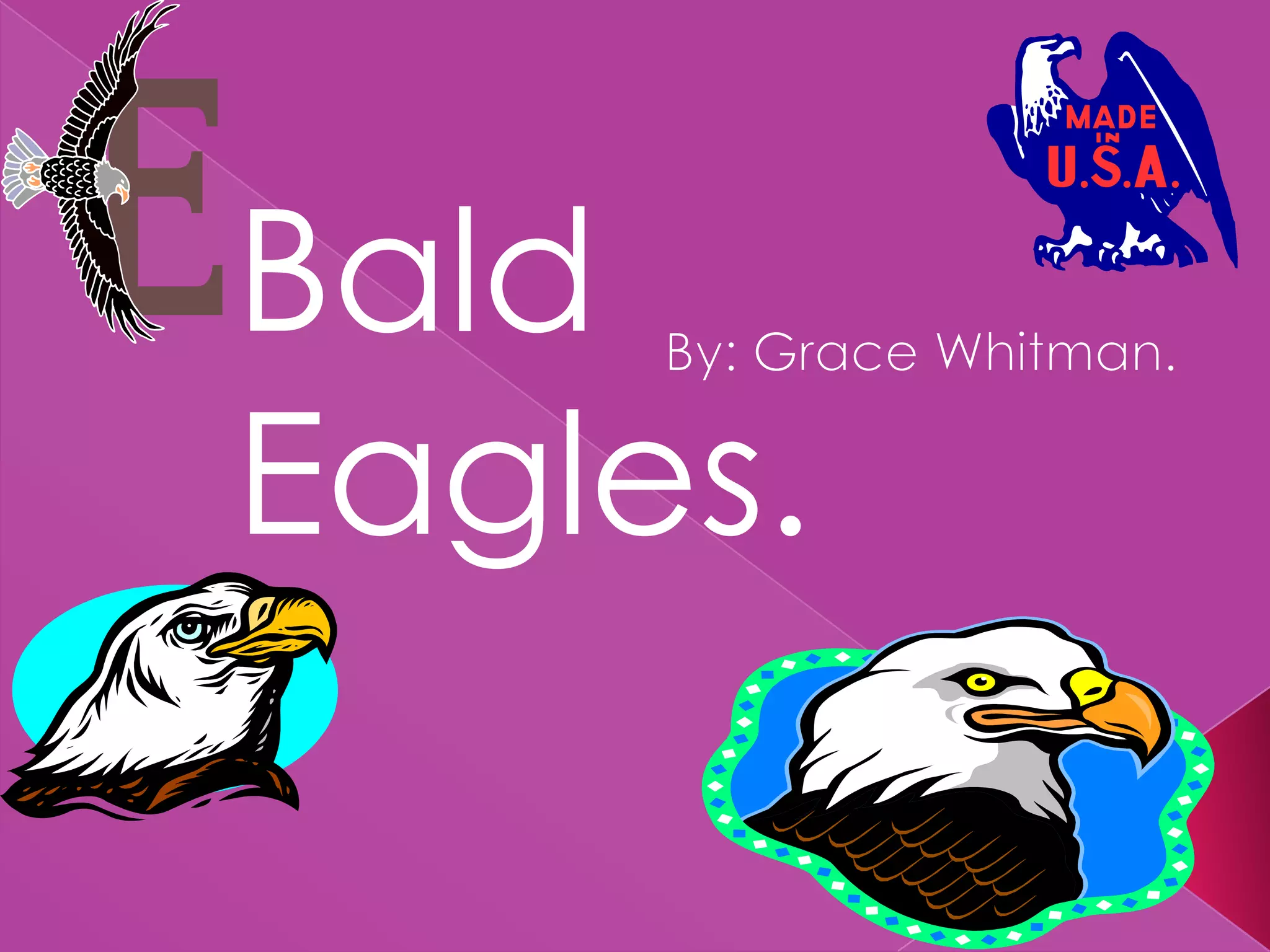 Bald EaglesBy: Grace Whitman.Bald Eagles.