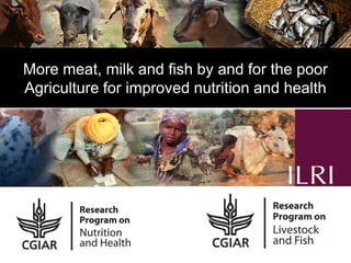 The CGIAR Research Program on Livestock and Fish and its synergies with the CGIAR Research Program on Agriculture for Nutrition and Health