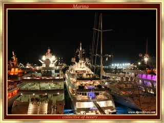 ...  collective of luxury…   ... Marina 