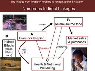 Breaking down the Livestock-Nutrition Pathway