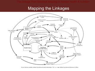 Breaking down the Livestock-Nutrition Pathway