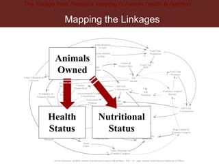 Breaking down the Livestock-Nutrition Pathway