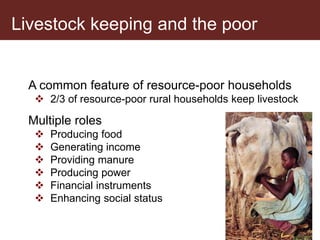 Breaking down the Livestock-Nutrition Pathway