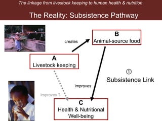 Breaking down the Livestock-Nutrition Pathway