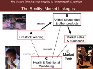 Breaking down the Livestock-Nutrition Pathway