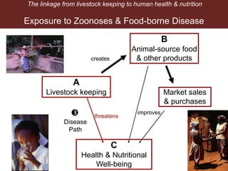Breaking down the Livestock-Nutrition Pathway