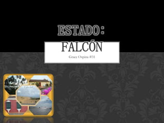 ESTADO:
 FALCÓN
 Grace Ospina #31
 